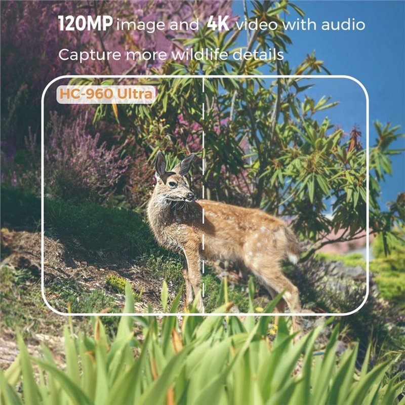 Y47A Outdoor 4G 120MP 4K Live  - Hunting And Outdoor Shows 评论和价格