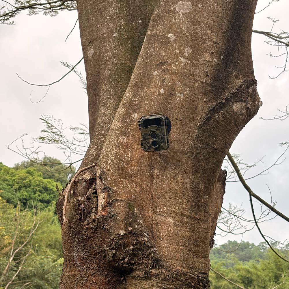Hunting Trail Camera 16MP 1080 - Trail Camera Infrared 评论和价格